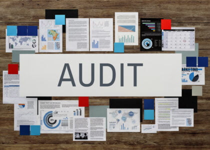 audit planning techniques